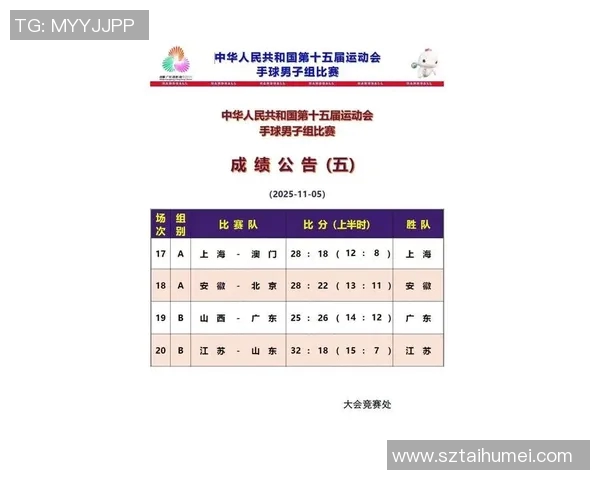 全球手球体育明星最新排名及其成就分析图解 全球手球体育明星最新排名及其成就分析图解