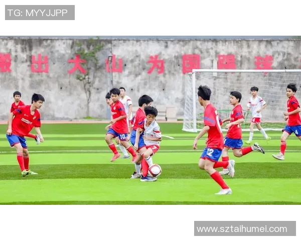 贵州足球之星的崛起与梦想追逐之旅 贵州足球之星的崛起与梦想追逐之旅