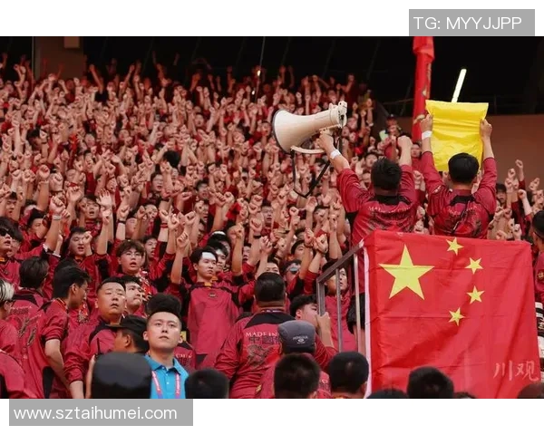 中国足协杯决赛球迷热情高涨为球队加油助威展现足球文化魅力